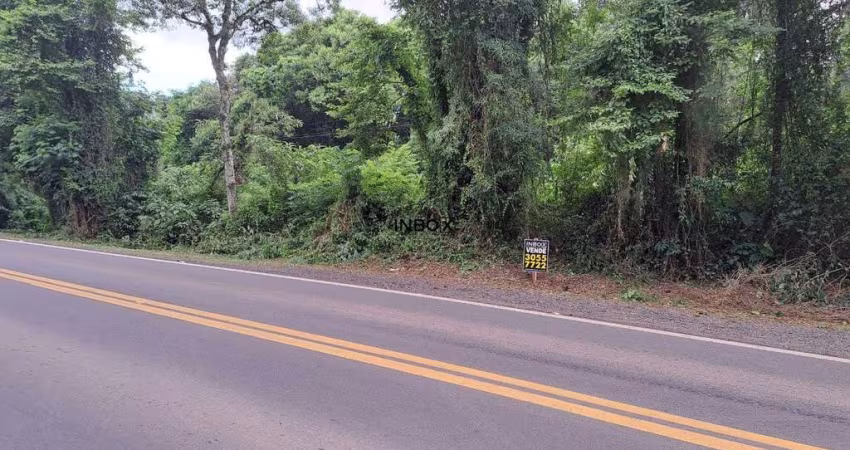 Terreno à venda na Br470, 202, Zona Rural, Bento Gonçalves