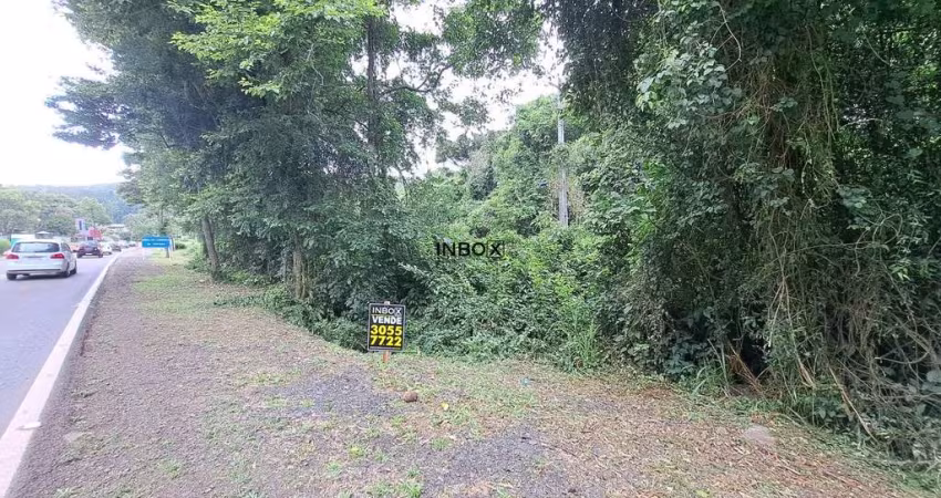 Terreno à venda na Br 470, 203, Zona Rural, Bento Gonçalves