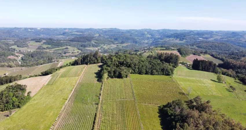 Terreno à venda na Interior, 113, Zona Rural, Bento Gonçalves