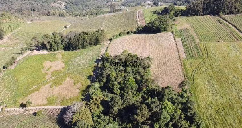 Terreno à venda na Interior, 112, Zona Rural, Bento Gonçalves