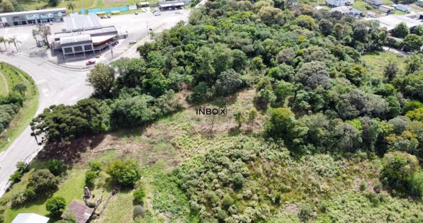 Terreno à venda na Rua Buarque De Macedo, 5280, Borghetto, Garibaldi