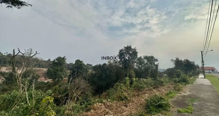 Terreno à venda na Rinaldo Cobalchini, 75, Santa Rita, Bento Gonçalves