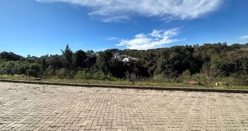 Terreno à venda na Márcia Rita Carraro, 1111111, Verona, Bento Gonçalves