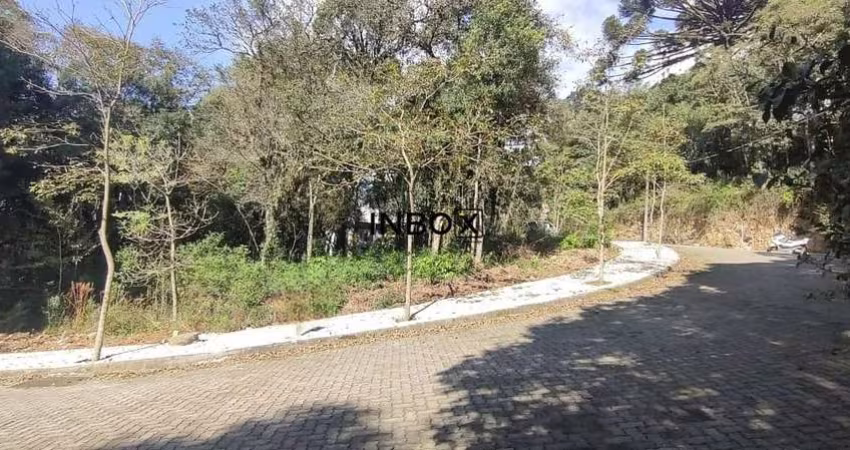 Terreno à venda na Alameda do Arvoredo  Esq Alameda do Bosque, 52, Borgo, Bento Gonçalves