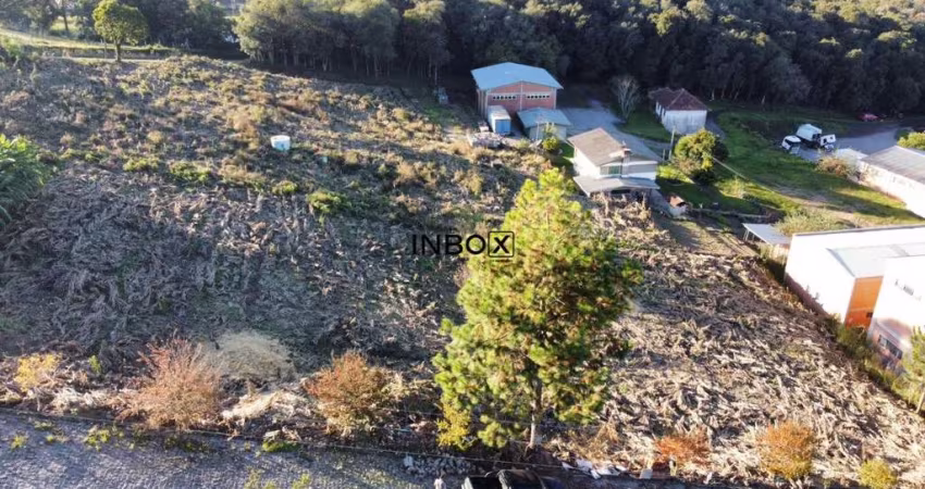 Terreno à venda na Rua b, Garibaldina, Garibaldi