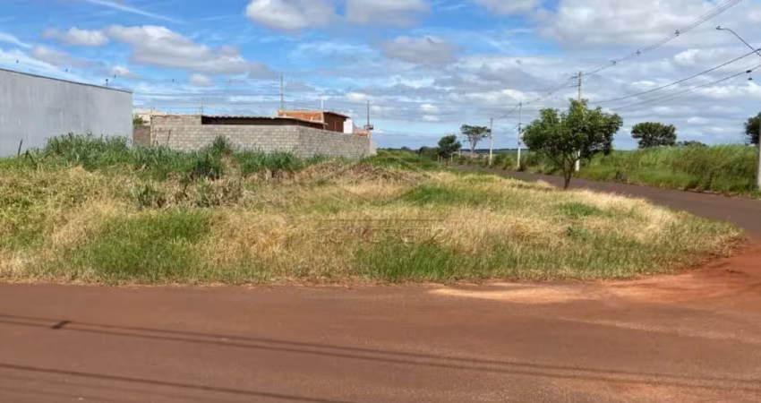Terreno Padrão em Jaú