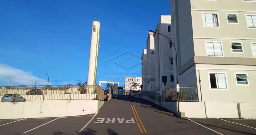 Apartamento com2 dormitórios -Branzi