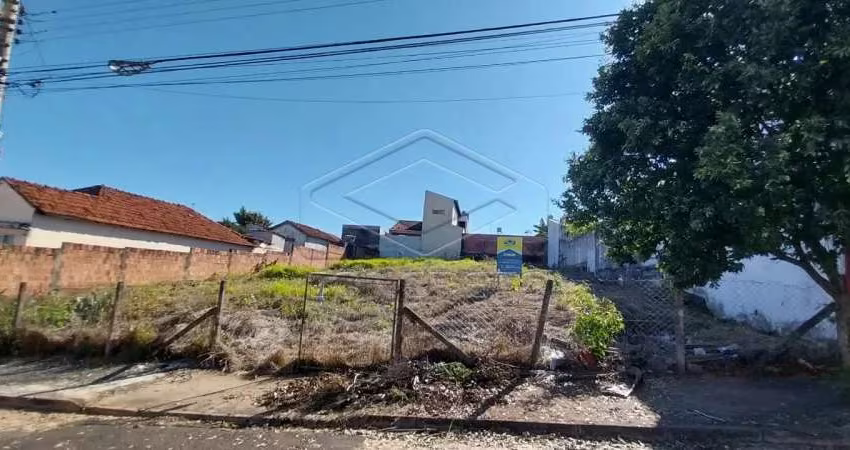 Terreno Padrão em Bauru