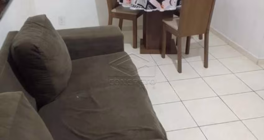 Apartamento 02 Dormitórios - Parque Braga