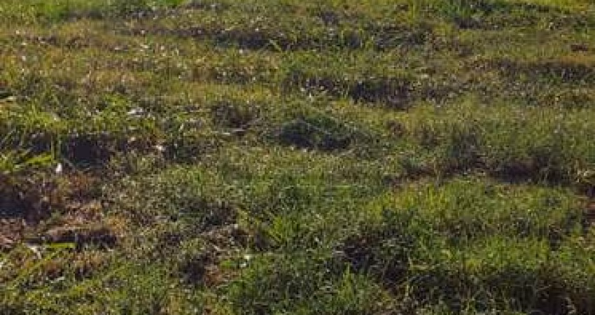 Terreno Condomínio em Bauru