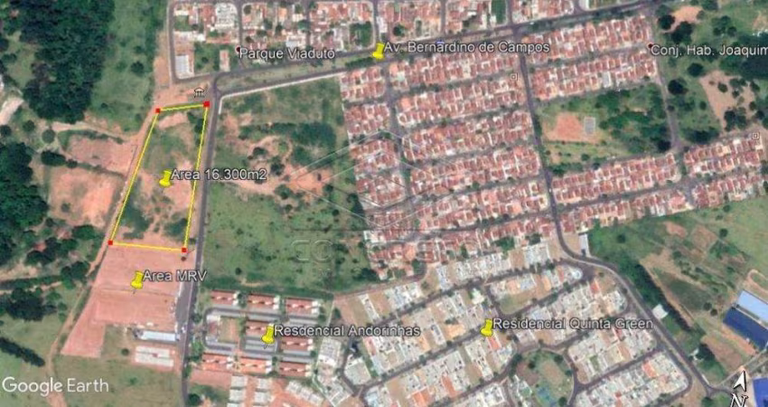 Terreno Padrão em Bauru