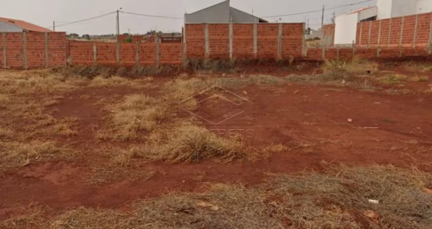 Terreno Padrão em Jaú