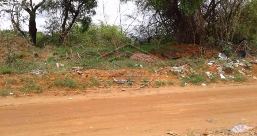 Terreno Padrão em Bauru