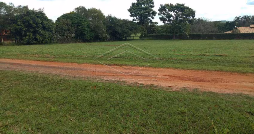 Terreno Padrão em Arealva