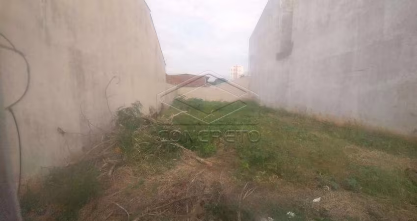 Terreno Padrão em Bauru