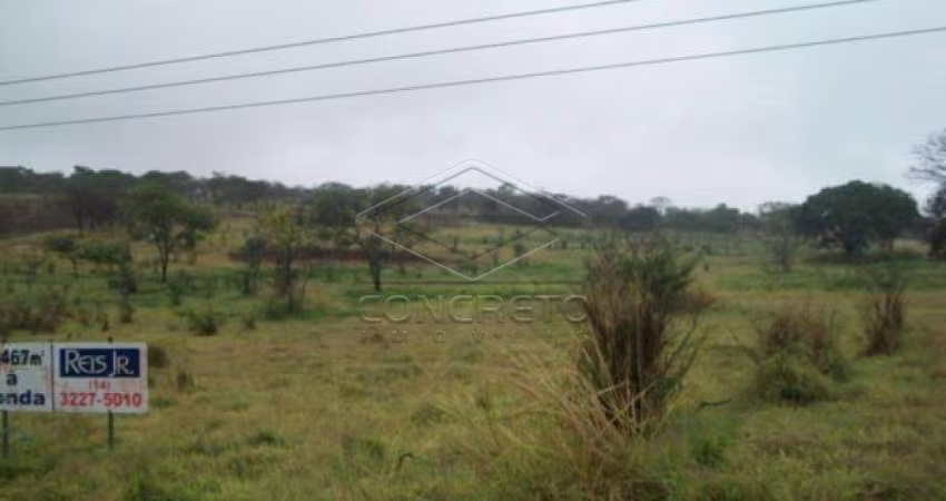 Terreno Padrão em Bauru