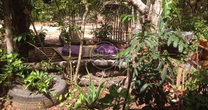 Casa de Madeira em meio a natureza na lagoa Arua Praia do  Forte Ba