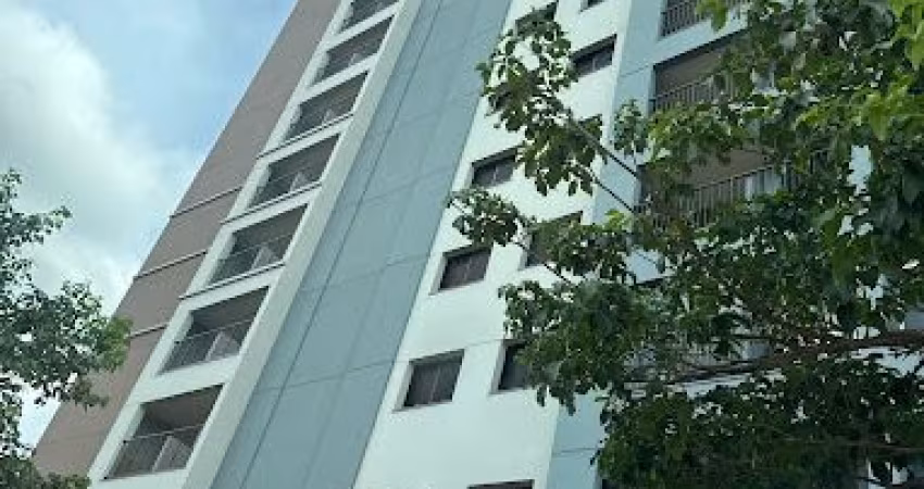 Apartamento Zona 08 - Próximo à Cesumar