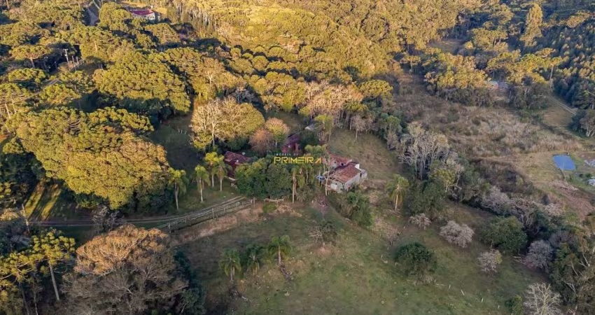 Chácara em Campina Grande do Sul - PR