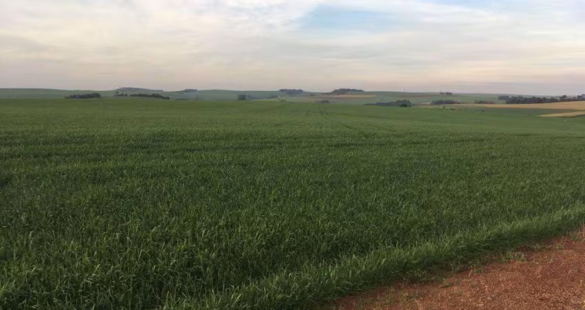 Sítio à venda em Marilândia do Sul, Centro, com 200 m²