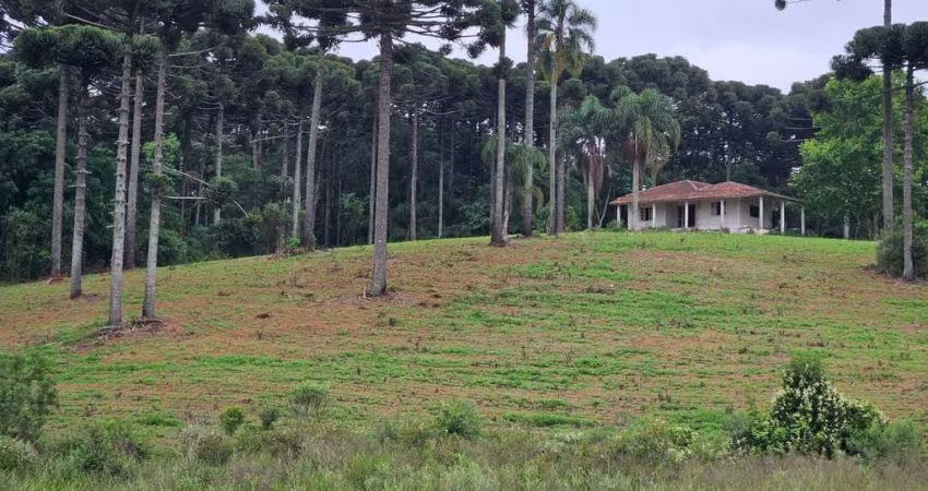 Fazenda com 3 dormitórios à venda, 1694000 m  por R  24.500.000,00 - Zona Rural - Contenda PR