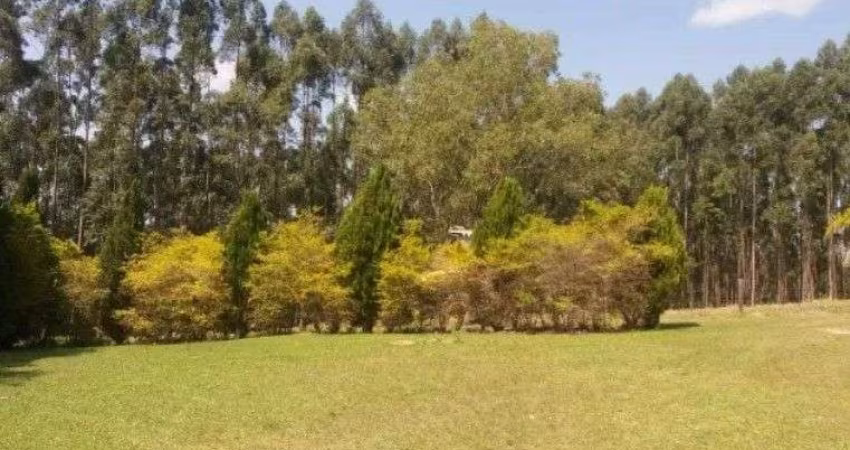 Fazenda com 3 dormitórios à venda, 1116000 m  por R  9.000.000,00 - Centro - Arapoti PR