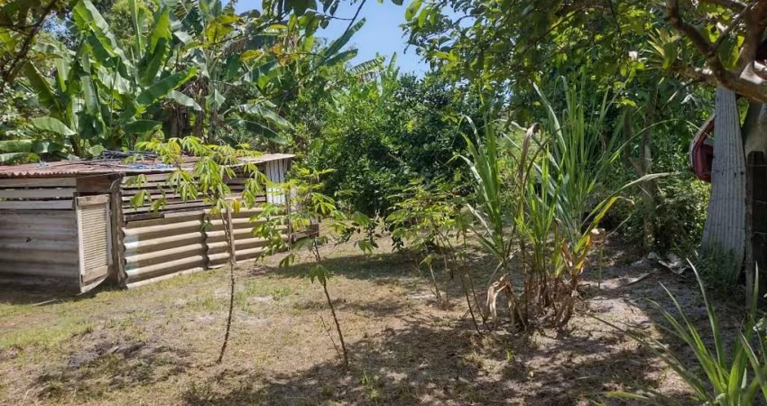 Chácara com 2 dormitórios à venda, 1820 m  por R  225.000,00 - Alexandra - Paranaguá PR