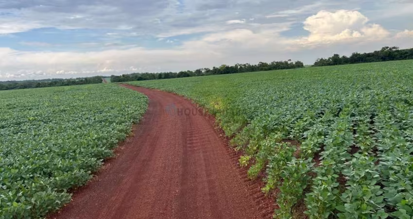 Oportunidade de Negócio Fazenda no Município de santa Maria-TO
