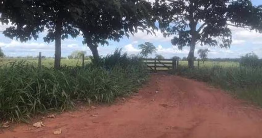 SITIO 60 HECTARES 13 KM DE PORTO ESPERIDIÃO-MT