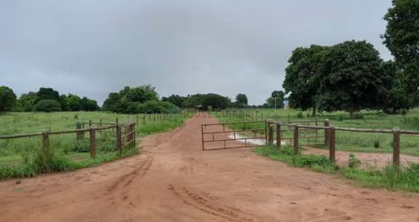 fazenda dupla aptidão com 583 alqueires no município de Jussara 70 km
