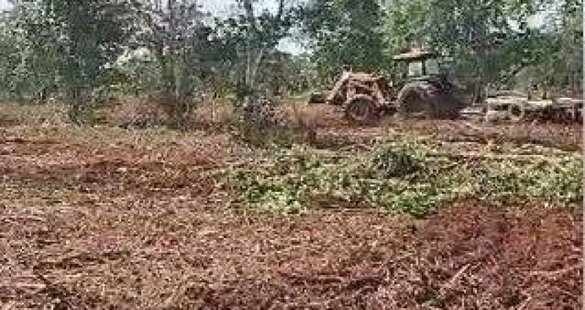 fazenda de 126 alqueires (302,4 Hectares) para dupla aptidão