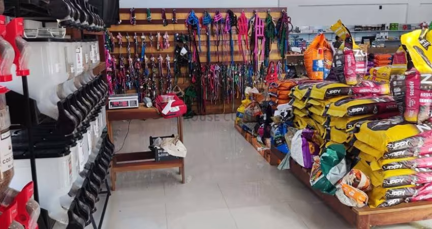 Prédio com loja montada no ramo de rações, produtos e medicamentos em geral para